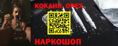 гидра Новозыбков
