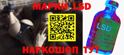 гидра Новозыбков