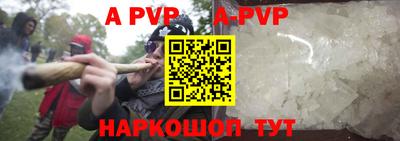 гидра Новозыбков